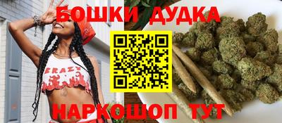 крисы Кингисепп