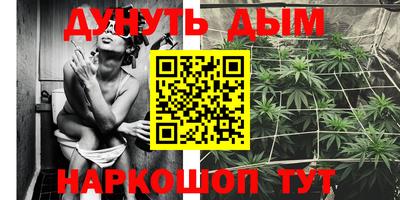 PSILOCYBIN Кинель