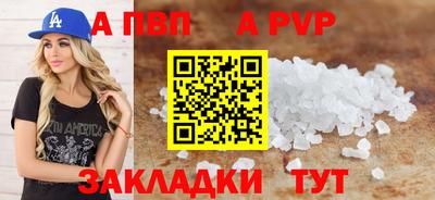 крисы Кингисепп