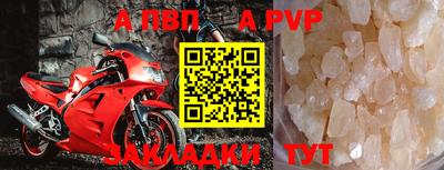 крисы Кингисепп