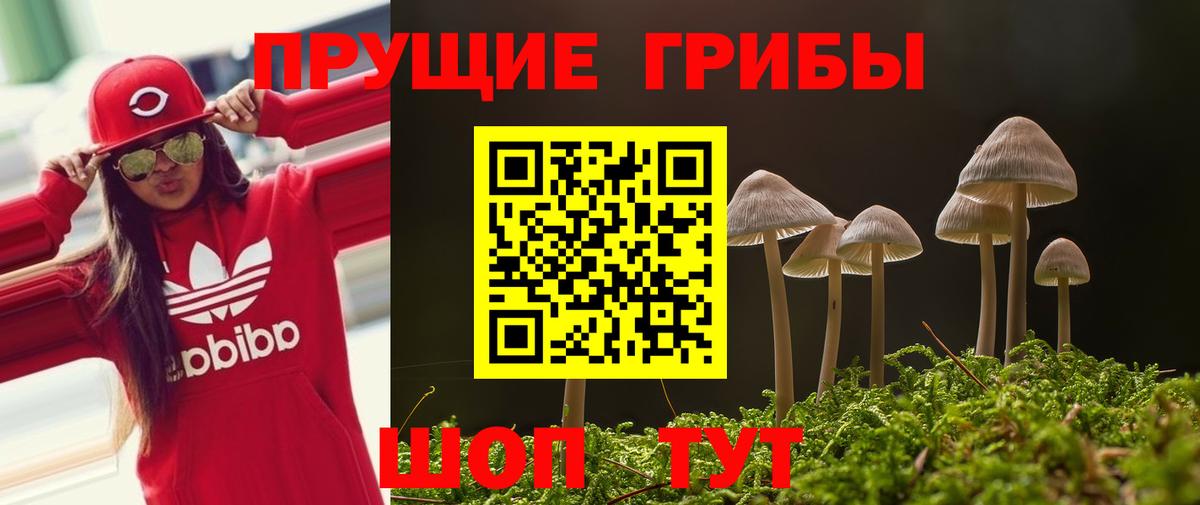 Чита  Галлюциногенные грибы прущие грибы  Галлюциногенные грибы Psilocybine cubensis  Вход с VPN 